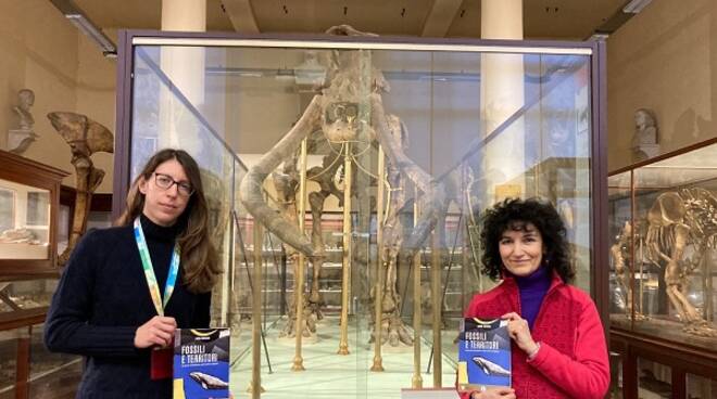 il-libro-“fossili-e-territori”-a-bologna-nel-museo-dei-mastodonti-astigiani-–-atnews.it