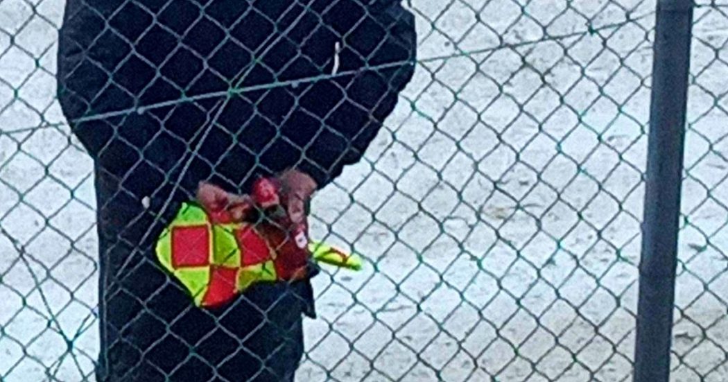 domeniche-bestiali-–-un-traghetto-pericoloso,-genitori-hooligans,-un-guardalinee-svogliato-e-un-panino-da-retrocessione-–-il-fatto-quotidiano