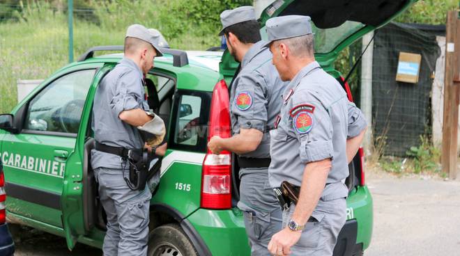 controlli-dei-carabinieri-forestali:-multata-una-ditta-a-marsala-–-televallo